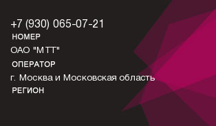 9300650721